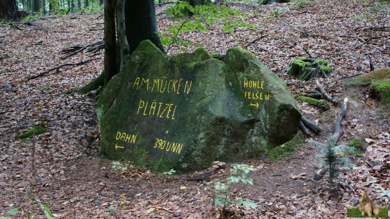 Ritterstein Nr. 203-4b Am Mücken - Plätzel 390 ü NN.JPG - Ritterstein Nr.203 Am Mücken Plätzel 390 ÜNN